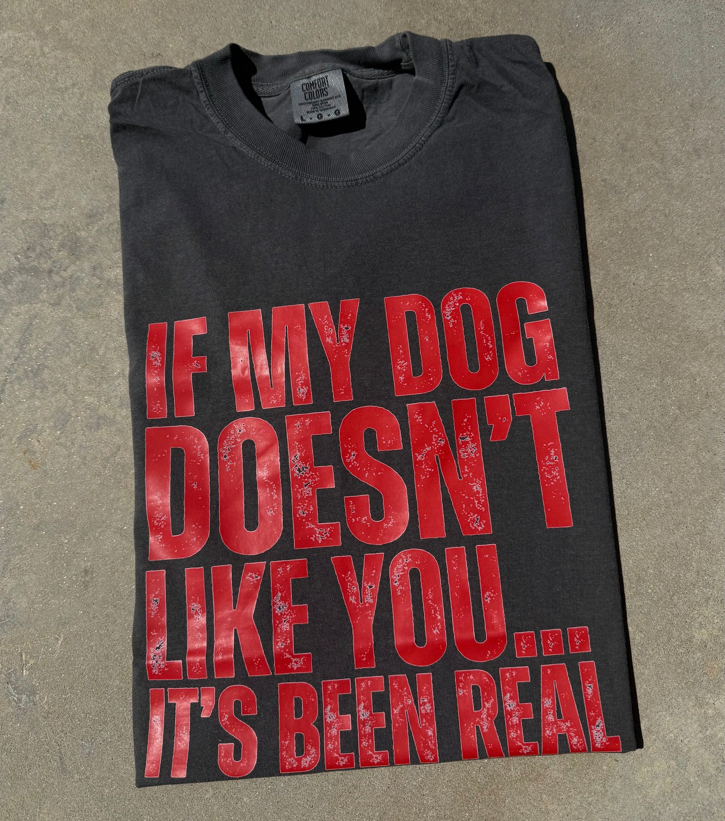 If My Dog Doesn’t Like You