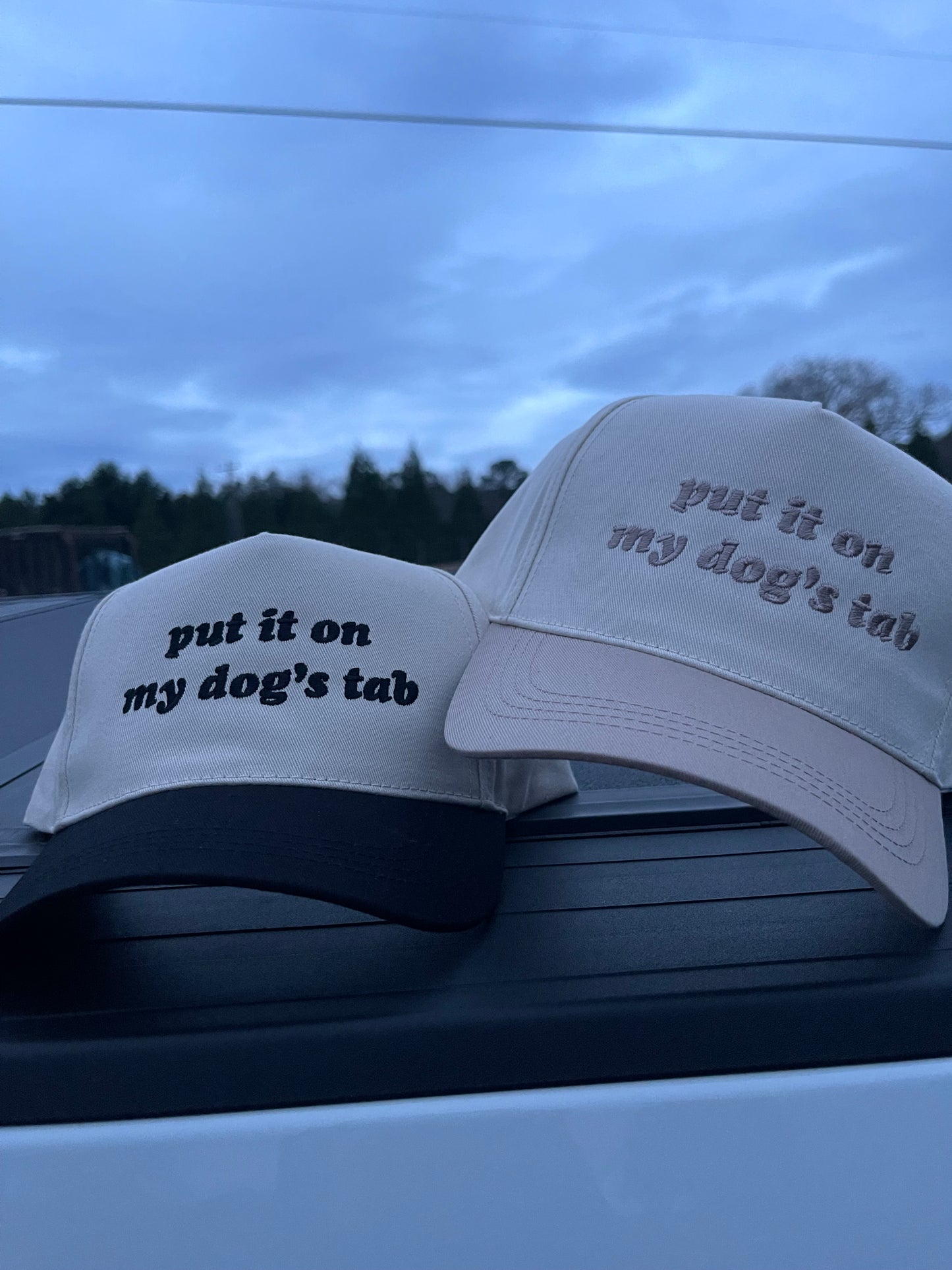 Put It On My Dog’s Tab