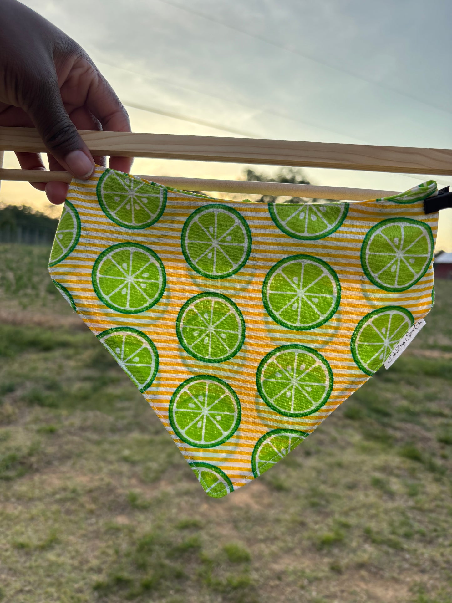 Summer Lime Snap On Bandana
