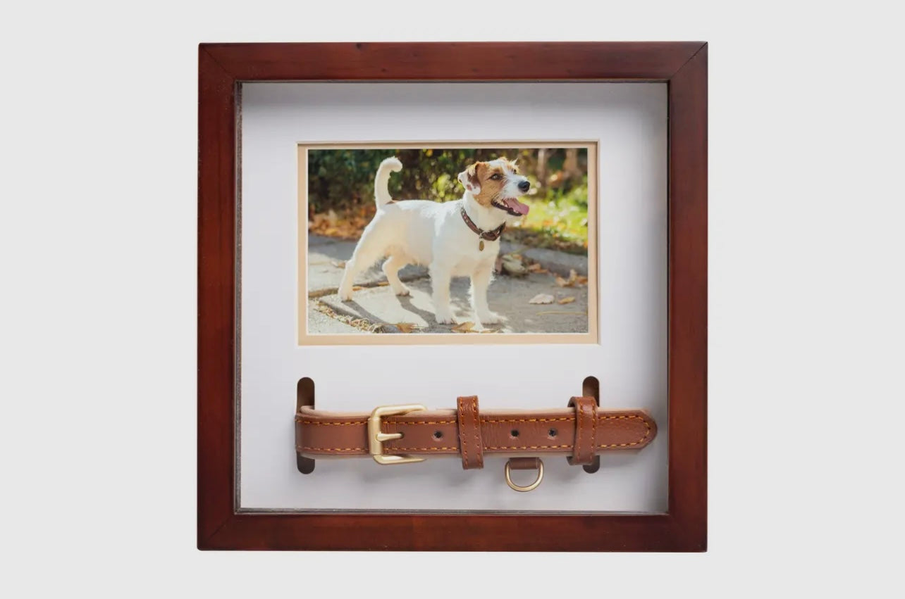 Pet Collar and Photo Frame